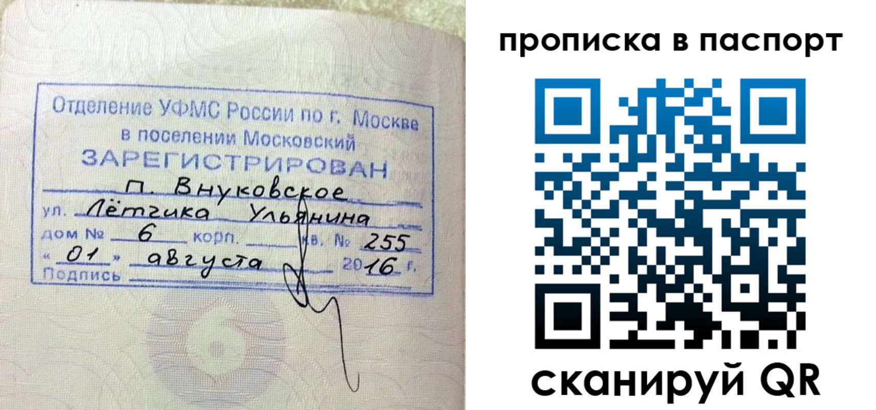 временная прописка в Борзе
