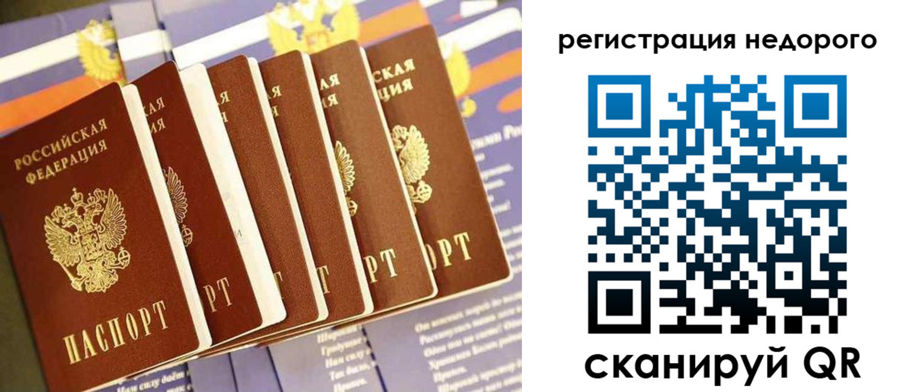 прописка в квартире в Борзе